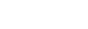 1max.store